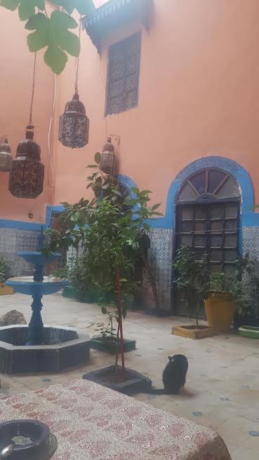 מרקש Riad Dar Kader Chambre Saumon מראה חיצוני תמונה